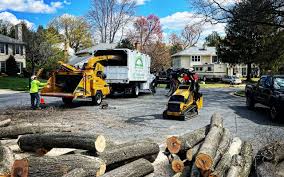 Best Landscape Design and Installation  in Mount Sinai, NY