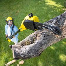 Best Firewood Processing and Delivery  in Mount Sinai, NY